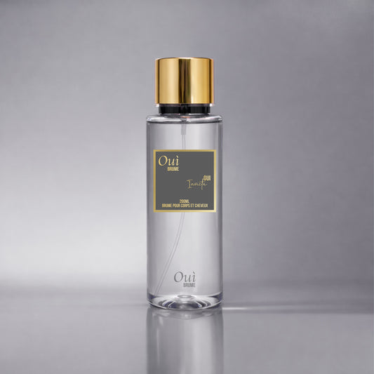 Brume corps Invictus Paco Rabanne flacon